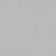 Линолеум Tarkett Acczent Pro Aspect 2  (3.0, 4.0 м)